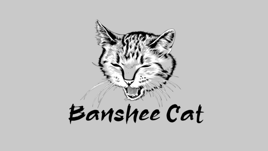 Banshee Cat banner